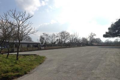Salle de réception décorée avec des tables dressées, nappes blanches, chaises pliantes et centres de table fleuris.