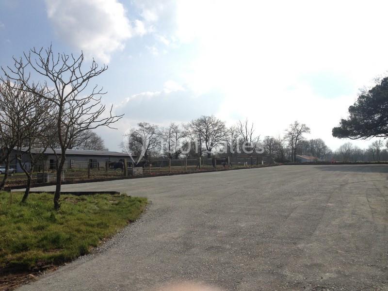 Parking vide bordé d'arbres et d'un bâtiment bas, sous un ciel partiellement nuageux.