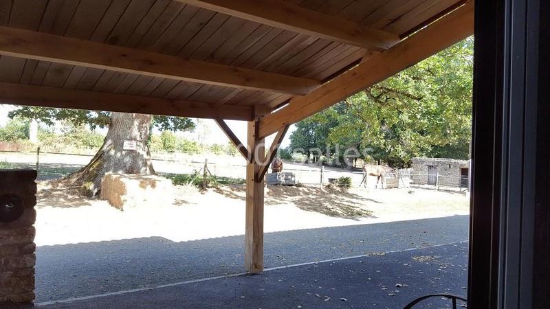 Vue d'un abri en bois ouvert donnant sur une cour ensoleillée avec un arbre, une clôture et des chevaux en arrière-plan.