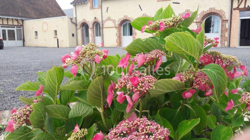 Location salle La Ville-aux-Clercs (Loir-et-Cher) - Le Domaine des 4 S #5