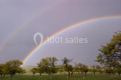 Location salle Vaudémont (Meurthe-et-Moselle) - L'ecurie Vaudémont #21