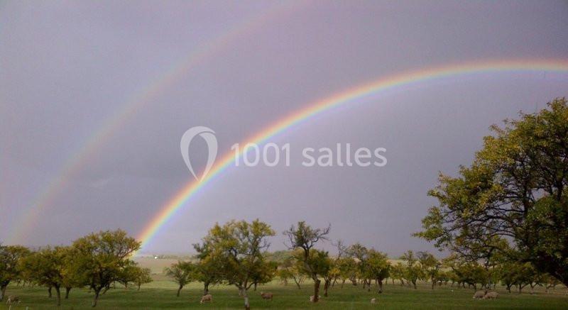 Location salle Vaudémont (Meurthe-et-Moselle) - L'ecurie Vaudémont #12