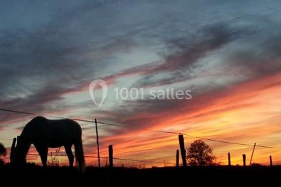 Location salle Vaudémont (Meurthe-et-Moselle) - L'ecurie Vaudémont #21