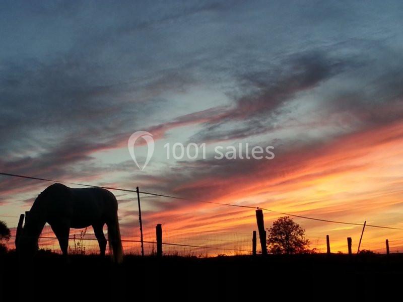 Location salle Vaudémont (Meurthe-et-Moselle) - L'ecurie Vaudémont #13