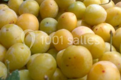 Location salle Vaudémont (Meurthe-et-Moselle) - L'ecurie Vaudémont #21