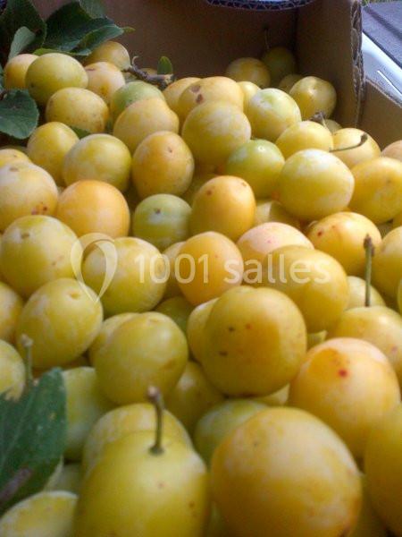 Location salle Vaudémont (Meurthe-et-Moselle) - L'ecurie Vaudémont #15