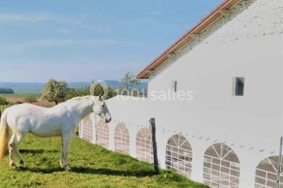 Location salle Vaudémont (Meurthe-et-Moselle) - L'ecurie Vaudémont #21