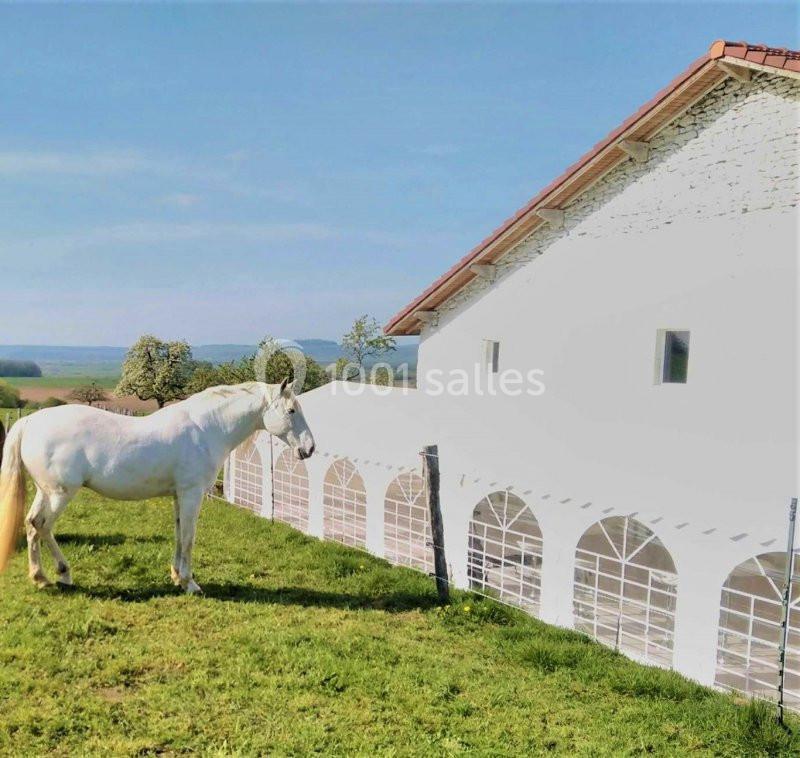 Location salle Vaudémont (Meurthe-et-Moselle) - L'ecurie Vaudémont #3