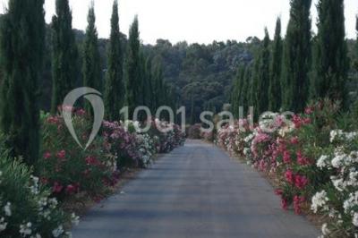 Location salle La Londe-les-Maures (Var) - Château Maravenne #17