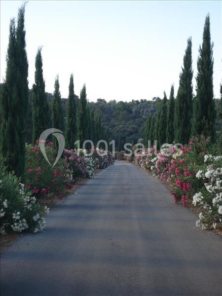 Location salle La Londe-les-Maures (Var) - Château Maravenne #13