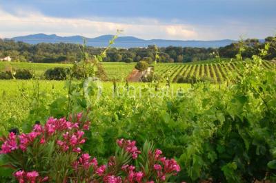Location salle La Londe-les-Maures (Var) - Château Maravenne #17