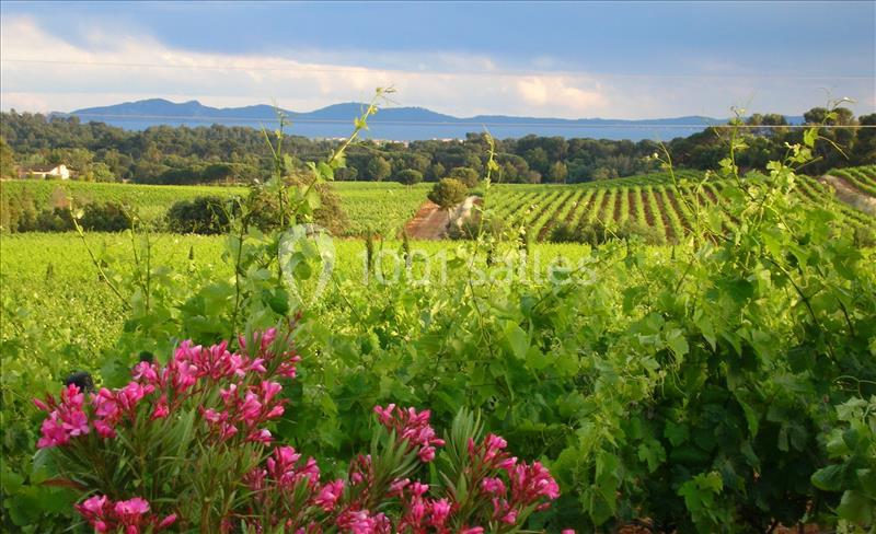 Location salle La Londe-les-Maures (Var) - Château Maravenne #10
