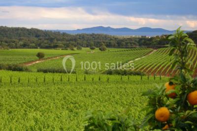 Location salle La Londe-les-Maures (Var) - Château Maravenne #17