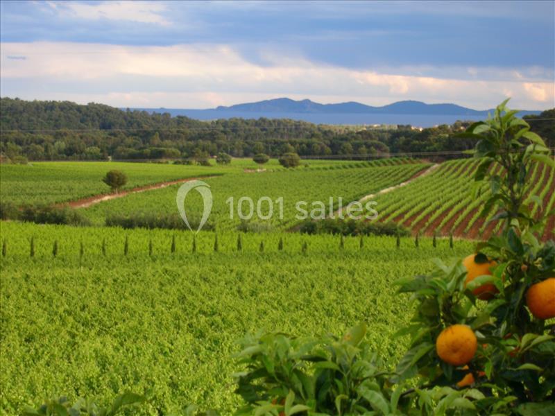 Location salle La Londe-les-Maures (Var) - Château Maravenne #17