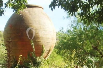 Grande jarre en terre cuite posée dans un jardin verdoyant entouré de plantes et d'arbres.