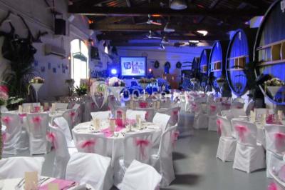 Grande jarre en terre cuite posée dans un jardin verdoyant entouré de plantes et d'arbres.