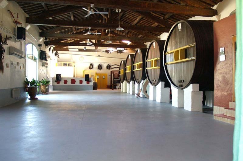 Au Dolium - photo 1