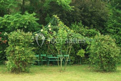 Grande jarre en terre cuite posée dans un jardin verdoyant entouré de plantes et d'arbres.