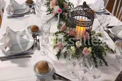 Miniature Location salle Préaux-Bocage (Calvados) - Domaine d'Aslan #17 Paysage rural avec un chemin en gravier, des champs de colza jaunes, des arbres et une terrasse en pierre au premier plan.