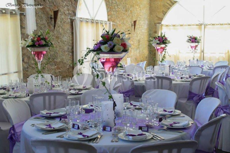 Location salle Aigues-Vives (Aude) - Domaine Saint Jean De Thibaude #1