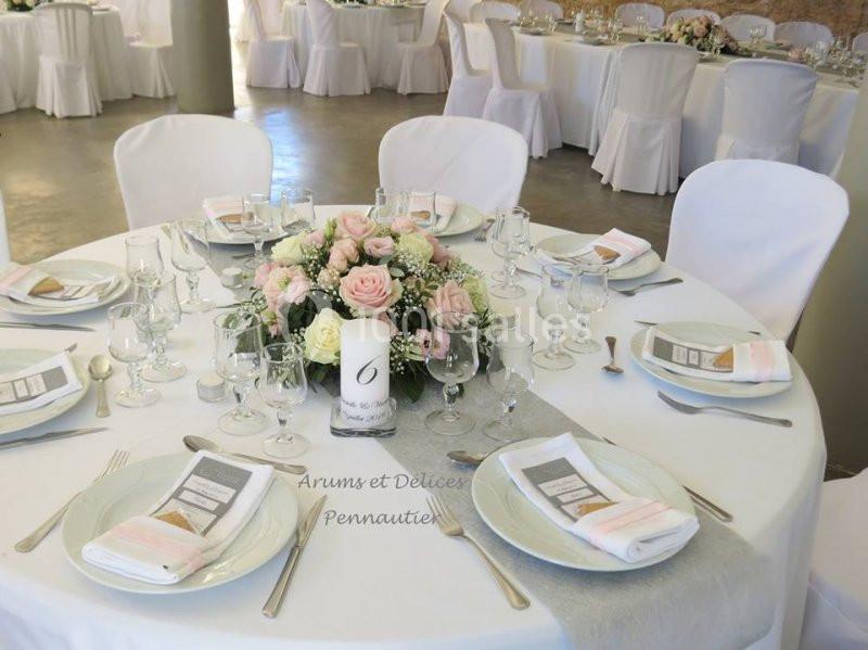 Location salle Aigues-Vives (Aude) - Domaine Saint Jean De Thibaude #8