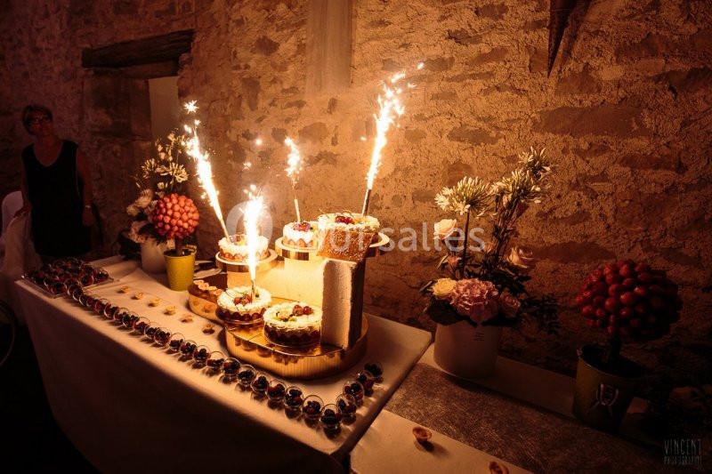 Location salle Aigues-Vives (Aude) - Domaine Saint Jean De Thibaude #17