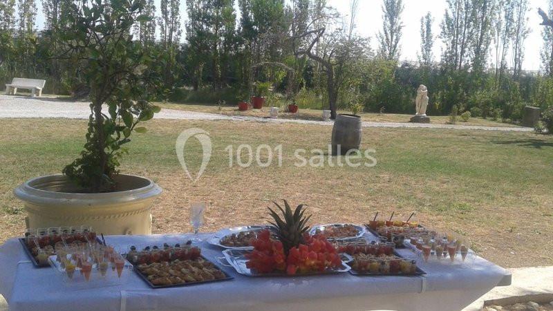 Location salle Aigues-Vives (Aude) - Domaine Saint Jean De Thibaude #19