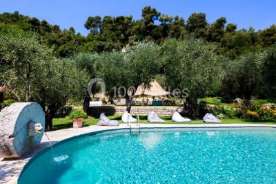 Massif de fleurs rouges et violettes entouré d'arbres et de verdure dans un jardin ensoleillé.