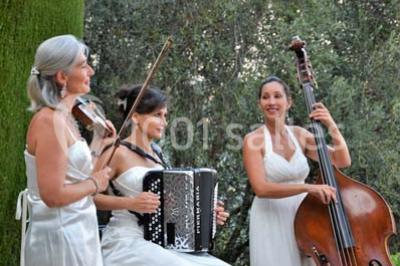 Massif de fleurs rouges et violettes entouré d'arbres et de verdure dans un jardin ensoleillé.