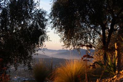 Massif de fleurs rouges et violettes entouré d'arbres et de verdure dans un jardin ensoleillé.