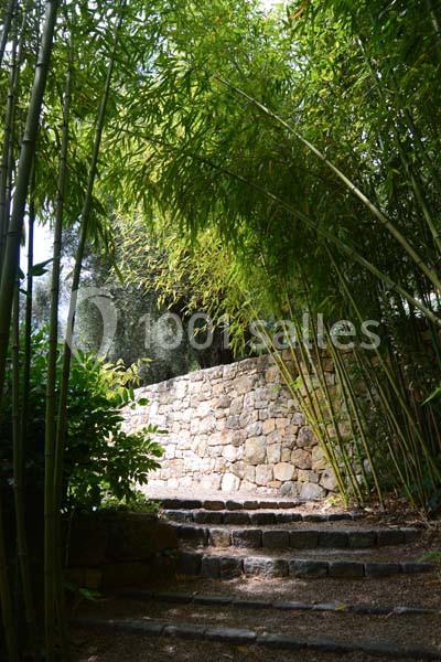 Escalier en pierre bordé de bambous et d'un mur en pierre, sous une lumière naturelle tamisée.