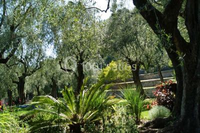 Massif de fleurs rouges et violettes entouré d'arbres et de verdure dans un jardin ensoleillé.