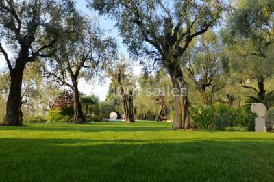 Massif de fleurs rouges et violettes entouré d'arbres et de verdure dans un jardin ensoleillé.