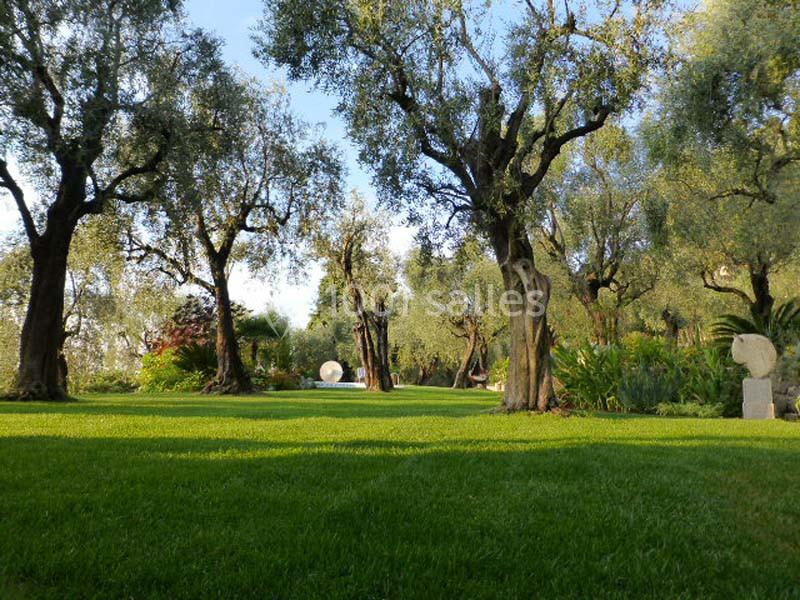 Jardin verdoyant avec des oliviers, pelouse bien entretenue et sculptures en pierre visibles en arrière-plan.