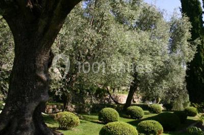 Massif de fleurs rouges et violettes entouré d'arbres et de verdure dans un jardin ensoleillé.