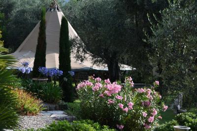 Massif de fleurs rouges et violettes entouré d'arbres et de verdure dans un jardin ensoleillé.