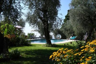 Massif de fleurs rouges et violettes entouré d'arbres et de verdure dans un jardin ensoleillé.