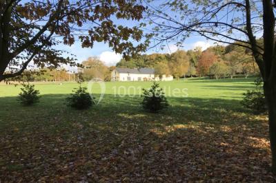 Centre de table floral avec fleurs séchées et pampas, entouré de couverts et cadeaux emballés sur une nappe blanche.