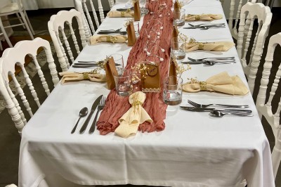 Miniature Location salle Montauban-de-Bretagne (Ille-et-Vilaine) - Manoir de Caslou #85 Mariée avançant sur une allée blanche sous une tonnelle, entourée d'invités assis lors d'une cérémonie en extérieur.