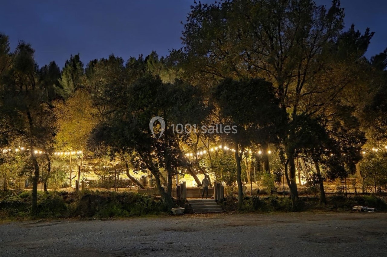 Guirlandes lumineuses suspendues entre les arbres éclairant un espace extérieur boisé à la tombée de la nuit.