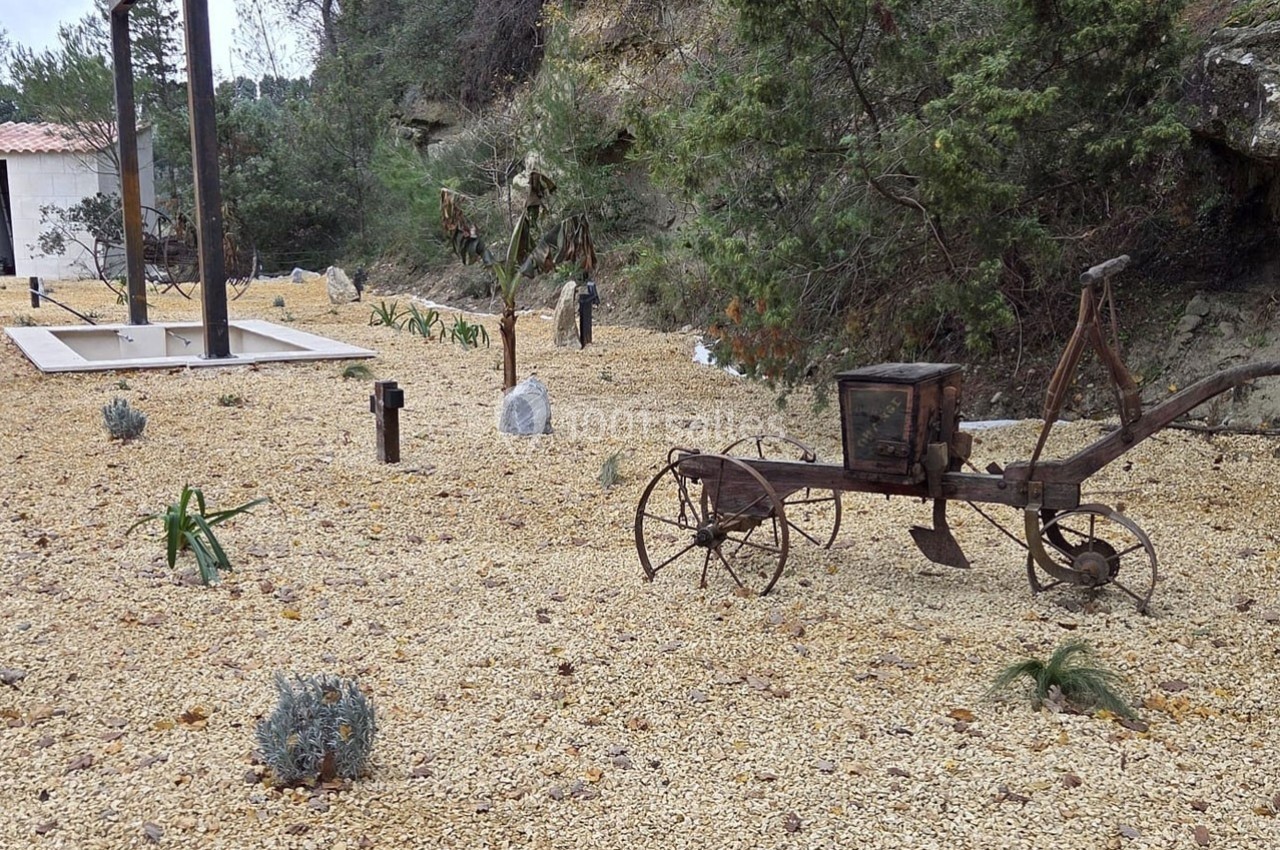 Vue d'un jardin sec avec gravier, plantes résistantes à la sécheresse et une ancienne charrue en métal en décoration.