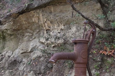 Table de pique-nique en bois sur un sol de gravier, entourée d'arbres dans un cadre naturel.