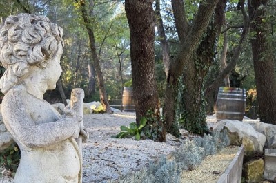 Table de pique-nique en bois sur un sol de gravier, entourée d'arbres dans un cadre naturel.