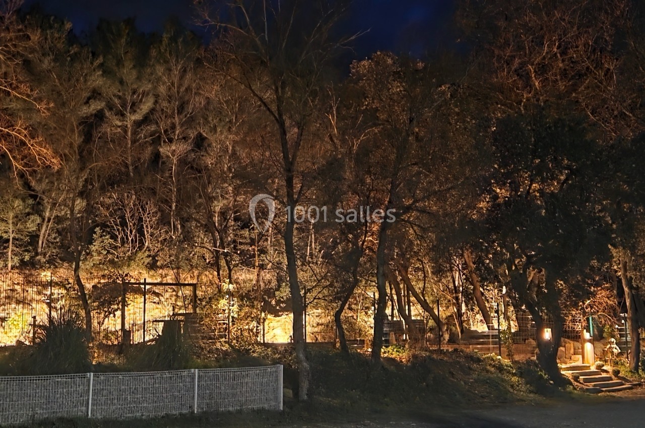 Vue nocturne d'un parc boisé illuminé par des lumières chaudes, avec des arbres et des sentiers visibles.