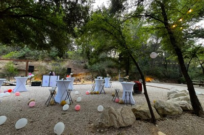Miniature Location salle Loriol-du-Comtat (Vaucluse) - La Maelia #33 Espace extérieur décoré pour un événement avec tables hautes, ballons colorés et guirlandes lumineuses sous des arbres.
