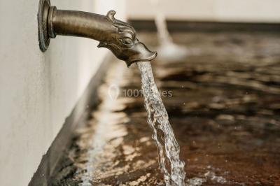 Location salle Tarascon (Bouches-du-Rhône) - Mas d'Arvieux #48