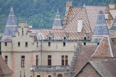 Location salle Virieu (Isère) - Château De Pupetières #5