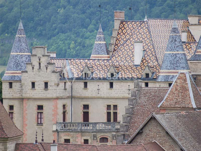 Location salle Virieu (Isère) - Château De Pupetières #4
