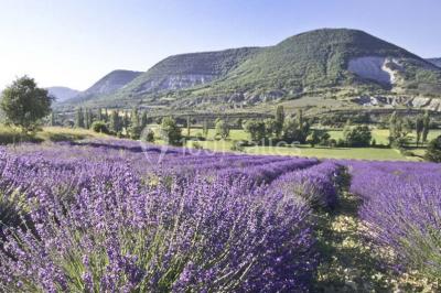 Location salle Mirabel-et-Blacons (Drôme) - Domaine de Blacons #21