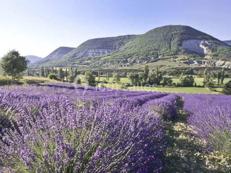 Location salle Mirabel-et-Blacons (Drôme) - Domaine de Blacons #21
